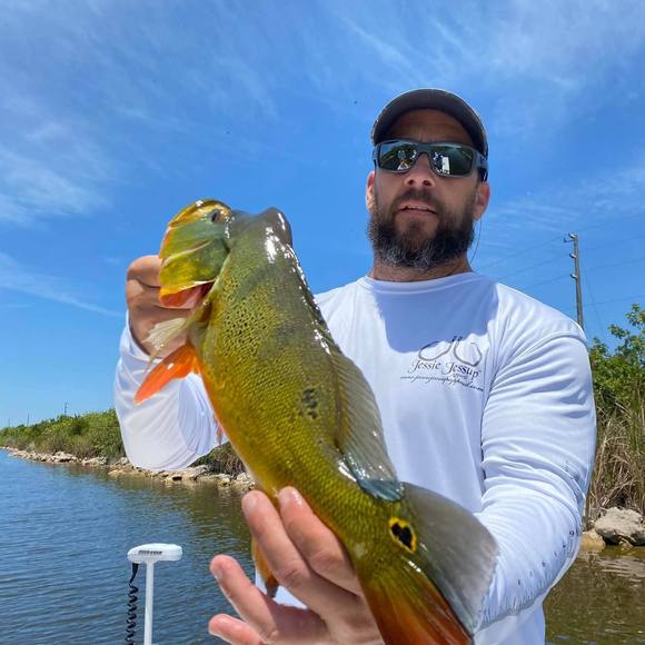 canesfan73